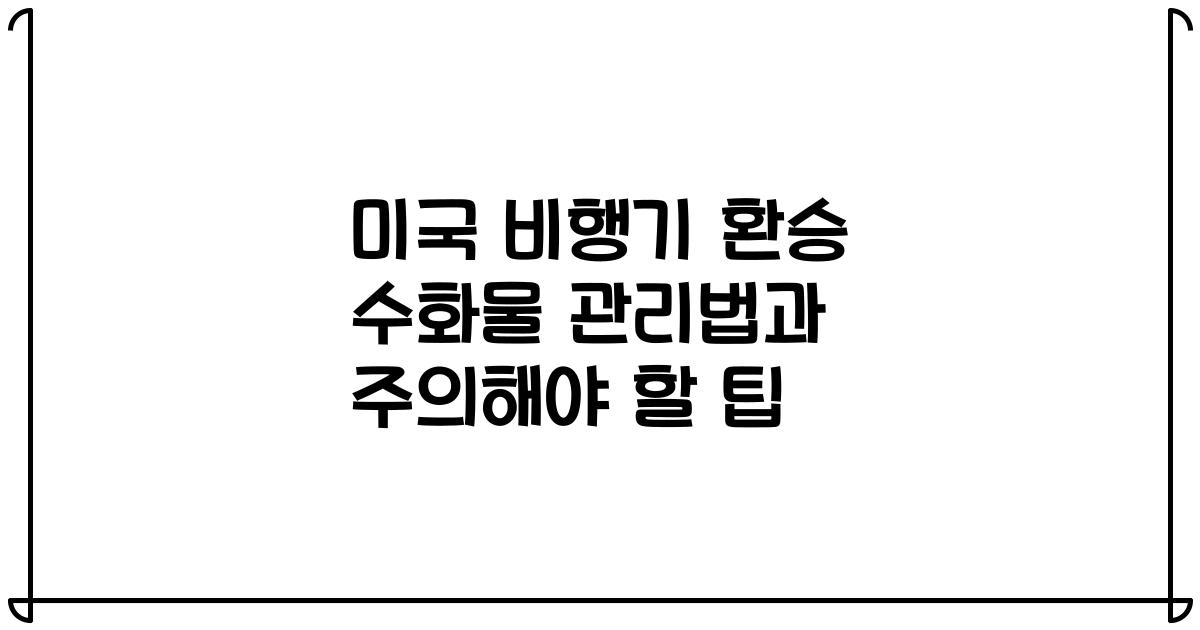 미국 비행기 환승 수화물 관리법과 주의해야 할 팁